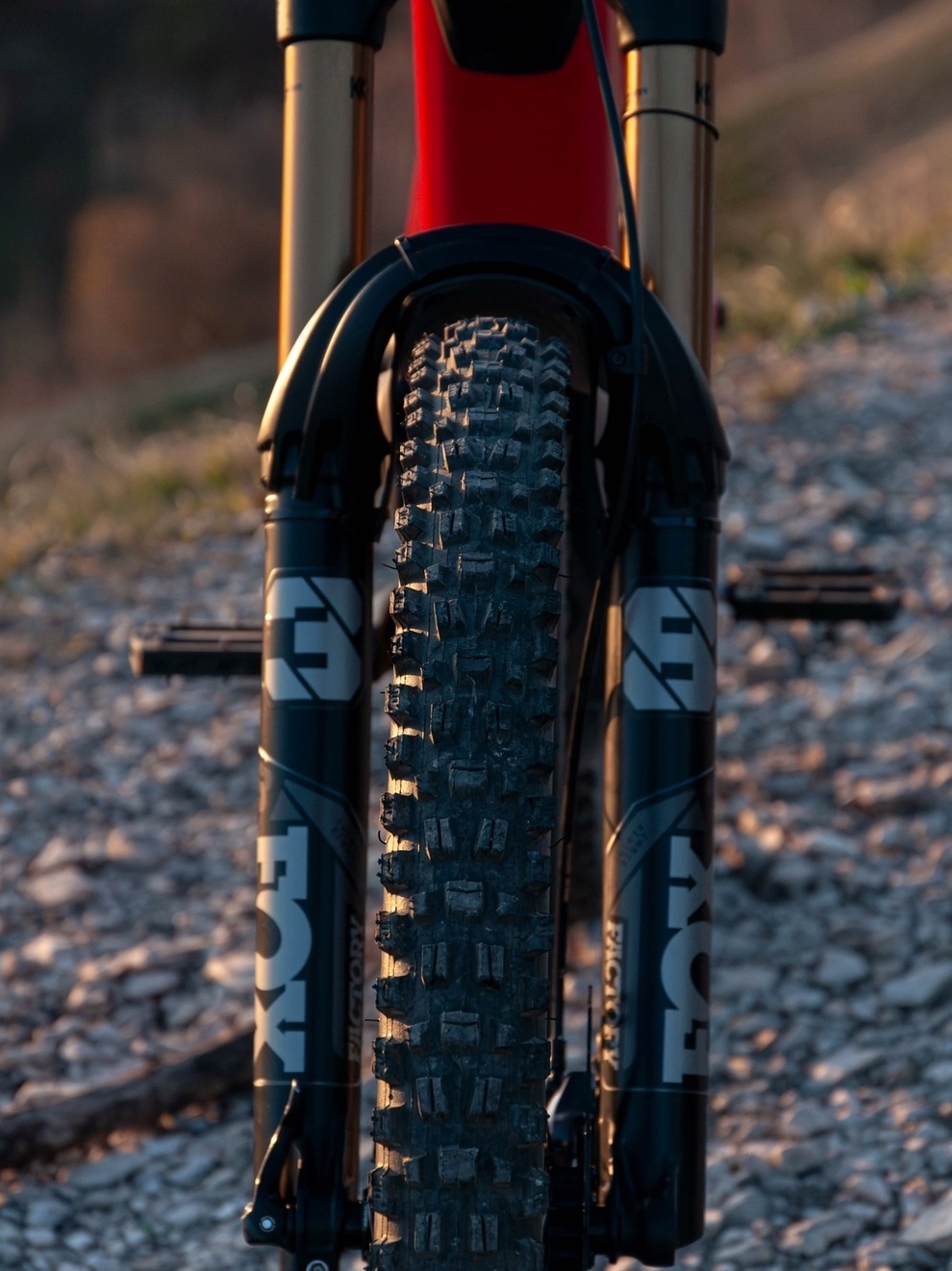 Orbea, Wild, M-Team, 2024, Bosch Perfomance CX,  Кисловодск, продажа, купить, мастерская, ремонт, прокат велосипедов, Downhill, Enduro, EMTB, FOX Float 38 Factory